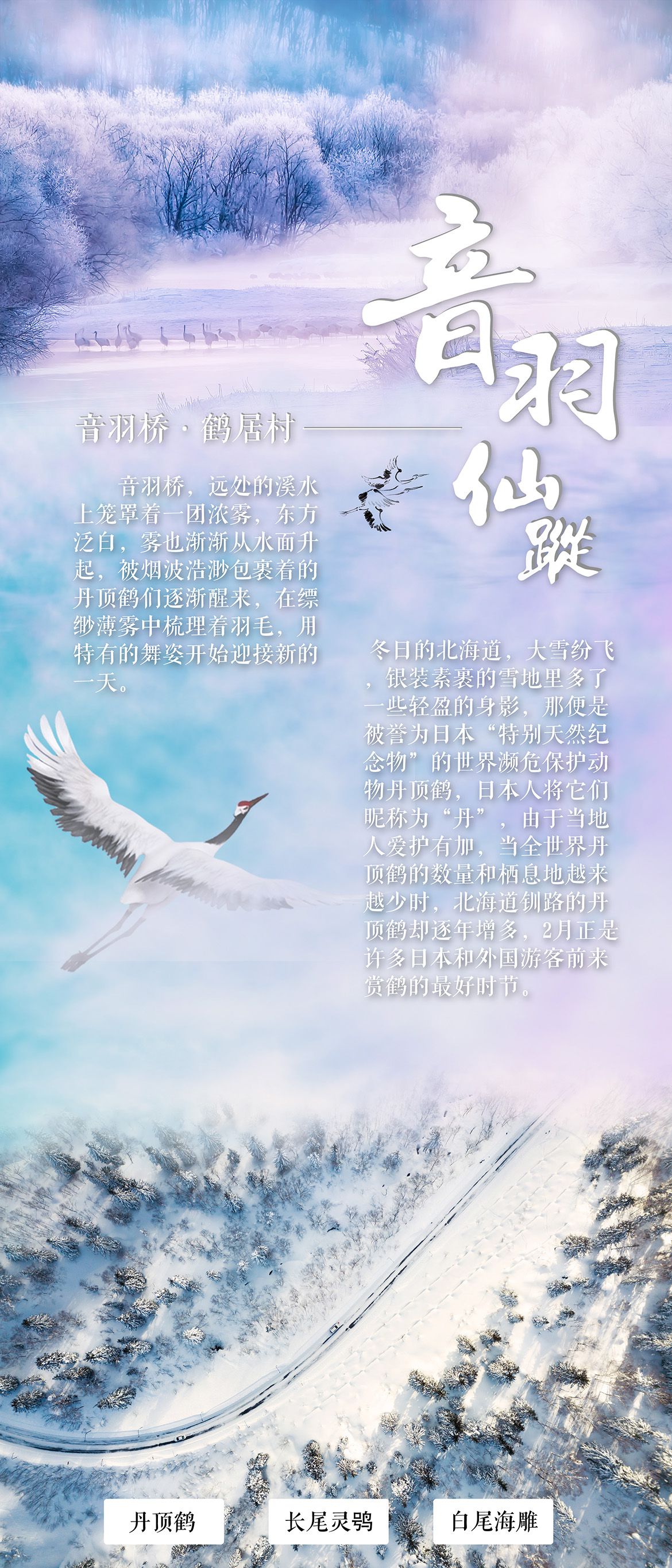 201Q11216130C51 201Q11216130C51