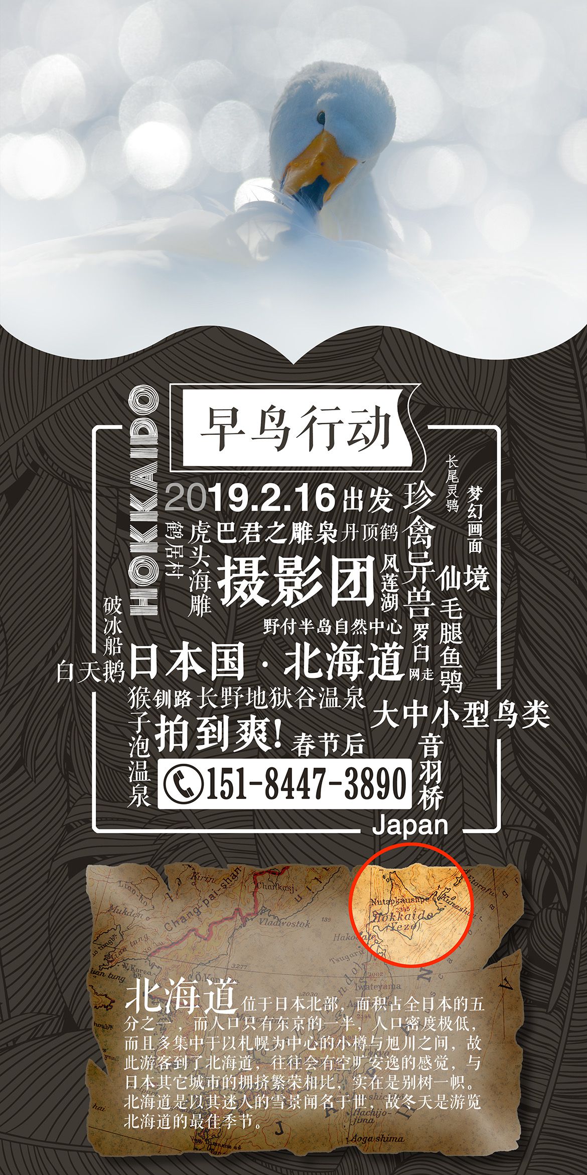 201Q11216125D43 201Q11216125D43