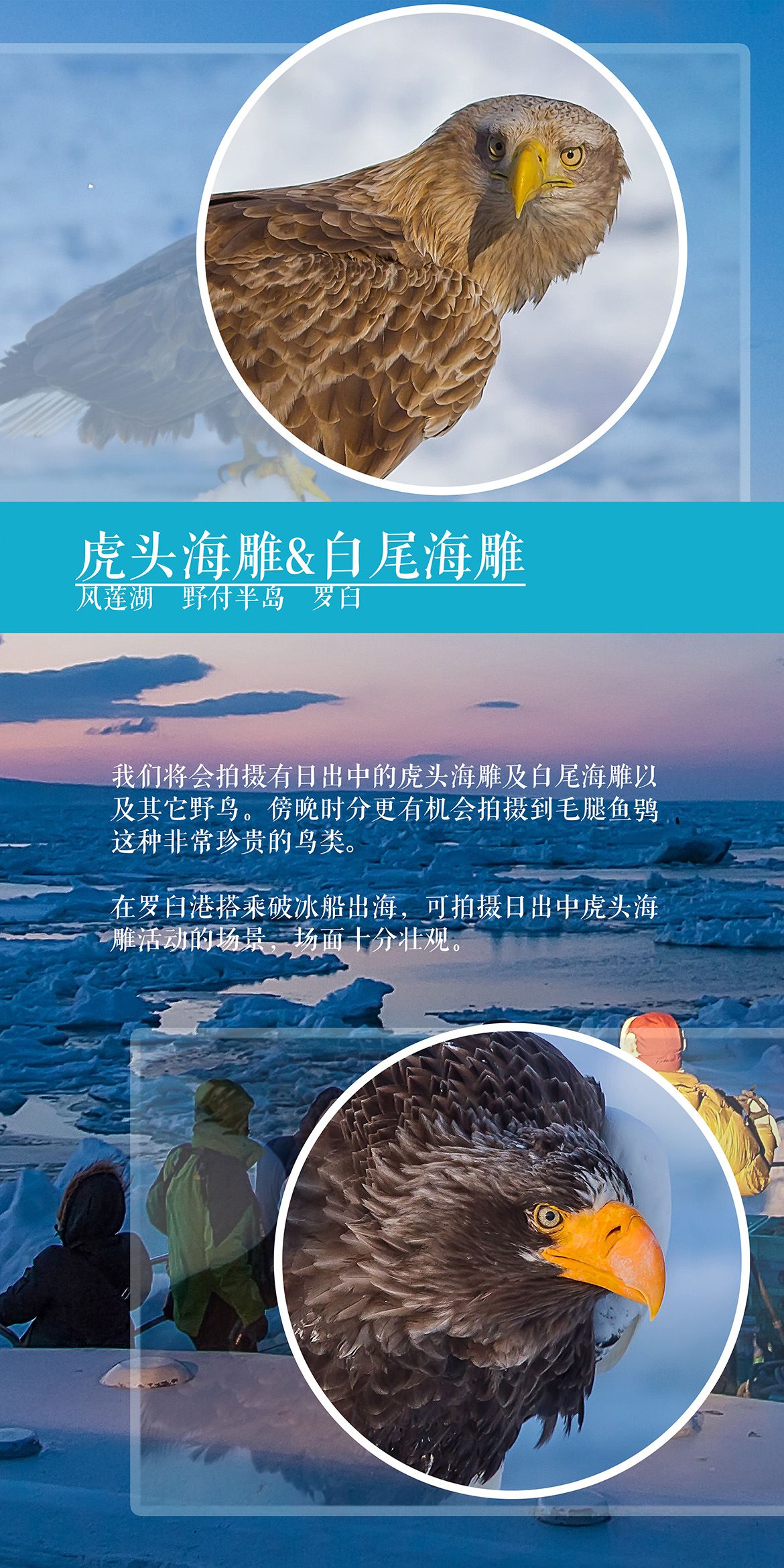 201Q11216131I29 201Q11216131I29