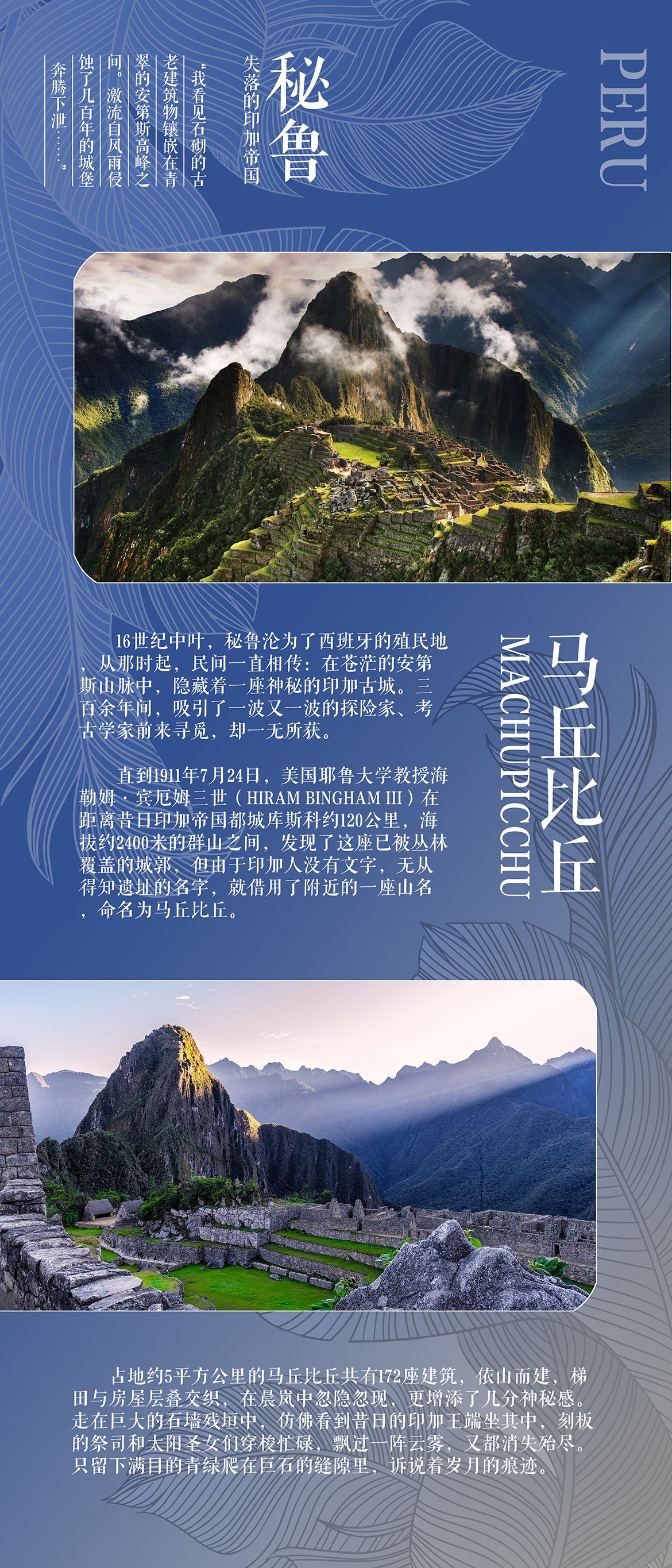 201Q029154911539 201Q029154911539