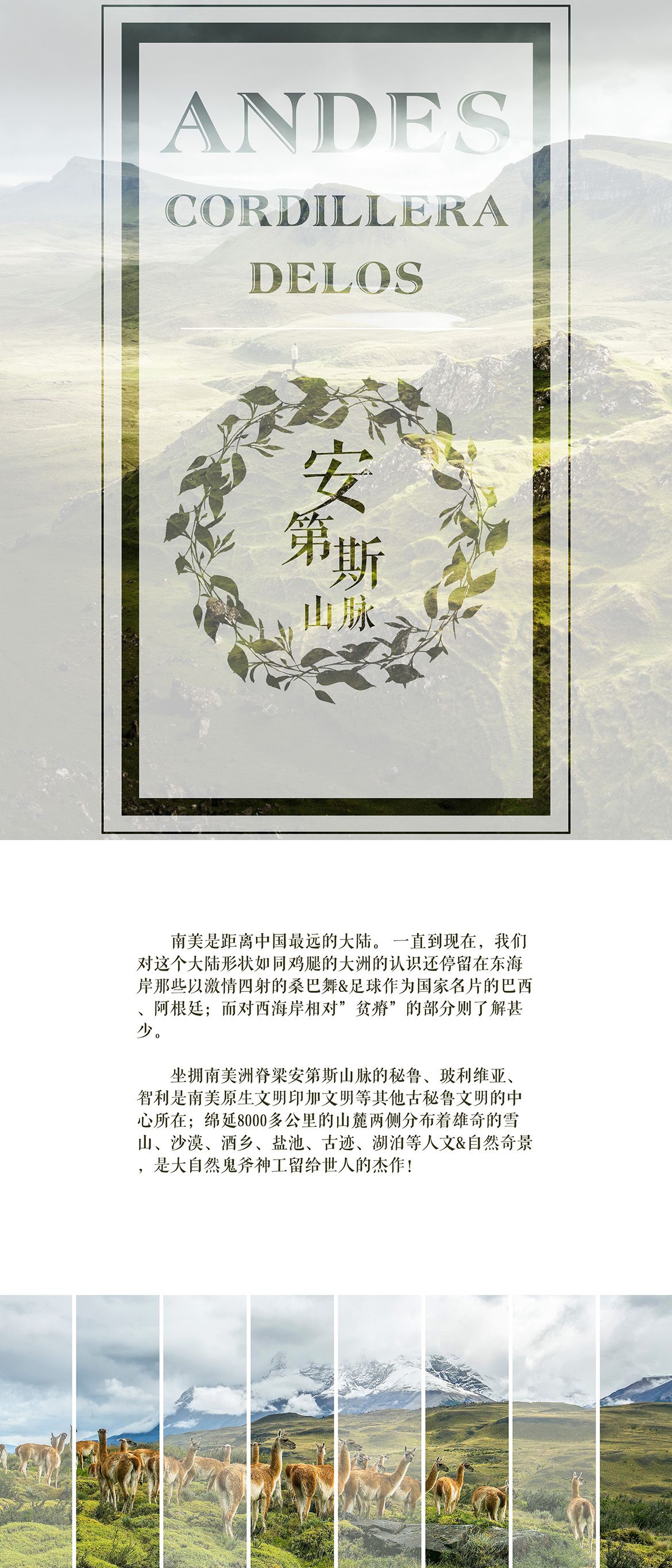 201Q029154920305 201Q029154920305