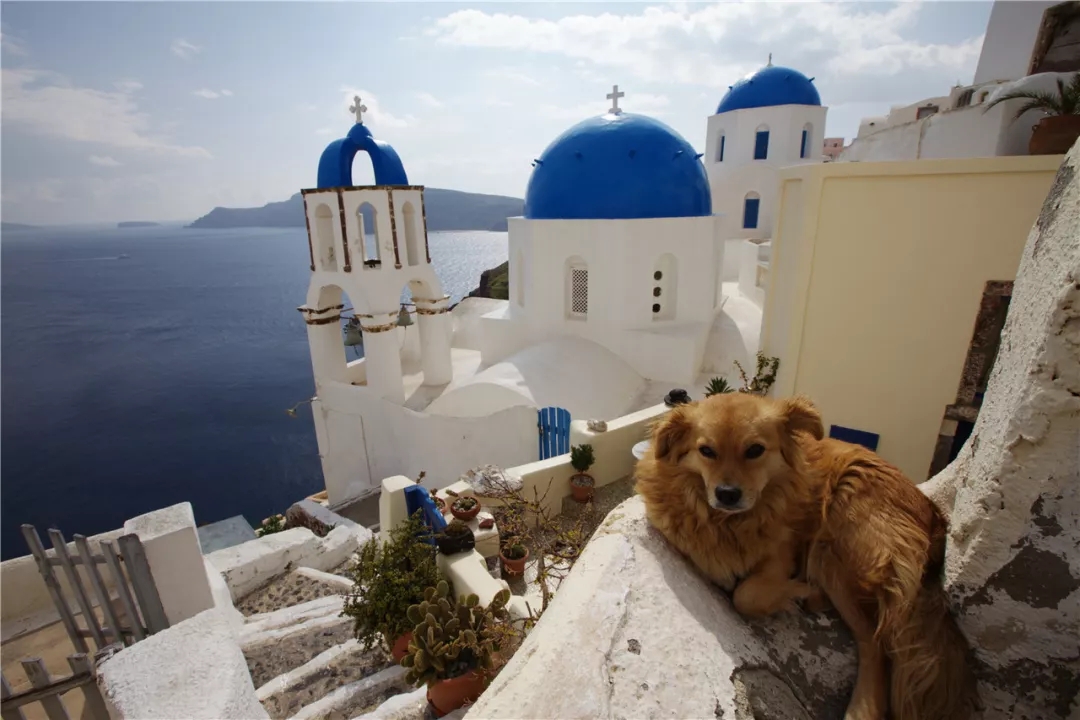 640.webp (25) 640.webp (25)