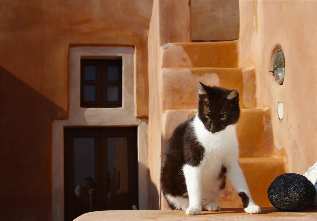 640.webp (24) 640.webp (24)