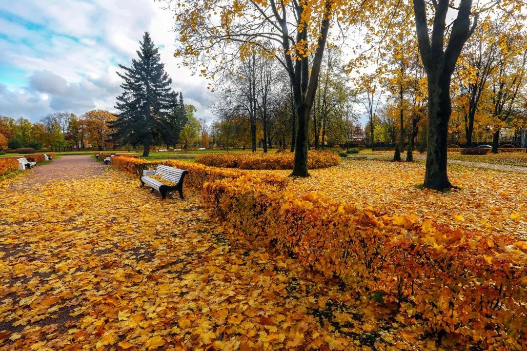 gDS6Ae8EicY1mjpaZ5R1p7nicdhDCPTzG7xDiaKotAibG6faOj0nbmWwLx54 gDS6Ae8EicY1mjpaZ5R1p7nicdhDCPTzG7xDiaKotAibG6faOj0nbmWwLx54