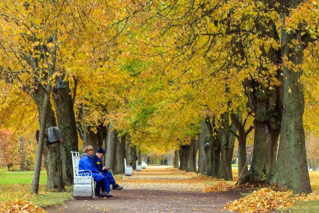 gDS6Ae8EicY1mjpaZ5R1p7nicdhDCPTzG7iblBGpBtcECF1of1wFkhM5PPc8 gDS6Ae8EicY1mjpaZ5R1p7nicdhDCPTzG7iblBGpBtcECF1of1wFkhM5PPc8