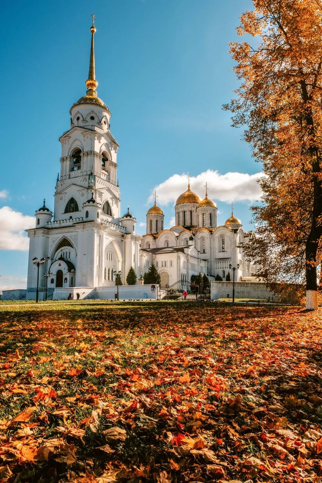 gDS6Ae8EicY1mjpaZ5R1p7nicdhDCPTzG7LzU7YhmU1IkcYSfZyMppzvpUTz gDS6Ae8EicY1mjpaZ5R1p7nicdhDCPTzG7LzU7YhmU1IkcYSfZyMppzvpUTz