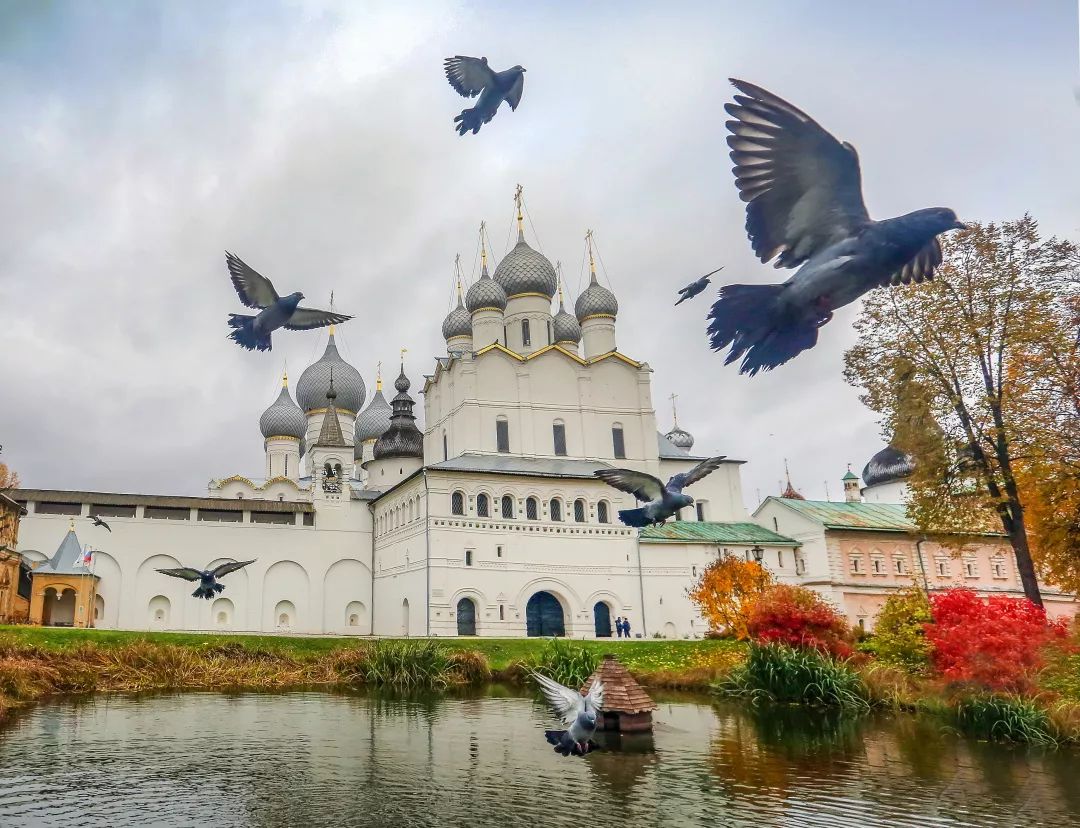 gDS6Ae8EicY1mjpaZ5R1p7nicdhDCPTzG7M45lObpwM1qDud2vYfJf57VMws gDS6Ae8EicY1mjpaZ5R1p7nicdhDCPTzG7M45lObpwM1qDud2vYfJf57VMws