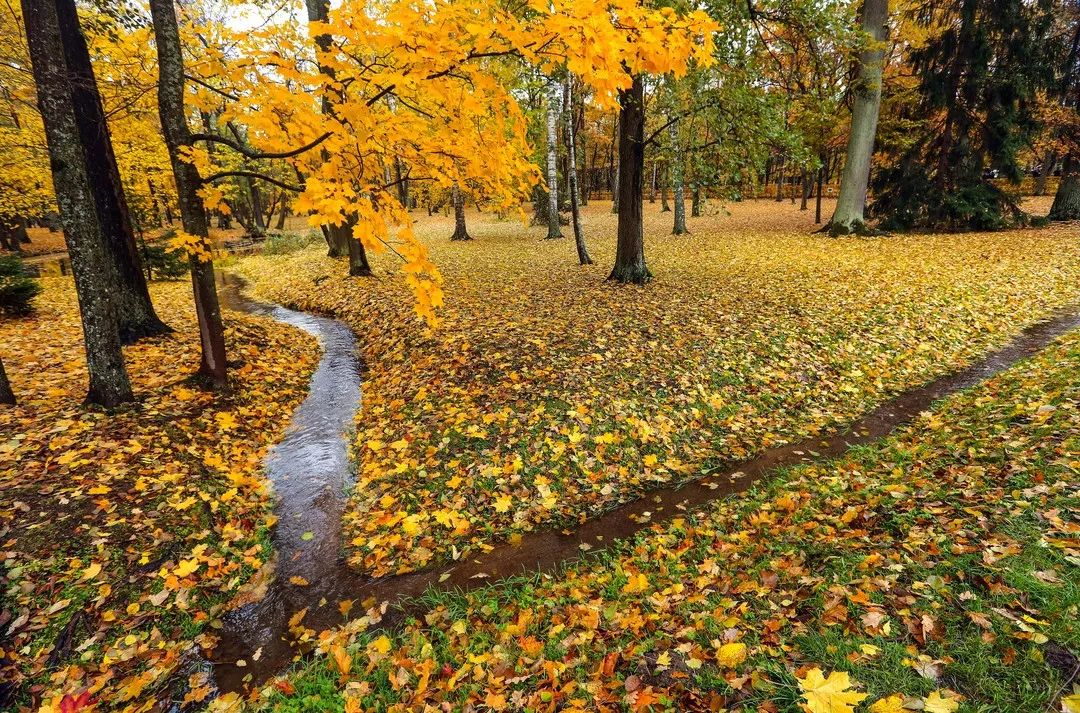 gDS6Ae8EicY1mjpaZ5R1p7nicdhDCPTzG7dICuHjD5t4rkCibACw0iaYKOqu gDS6Ae8EicY1mjpaZ5R1p7nicdhDCPTzG7dICuHjD5t4rkCibACw0iaYKOqu