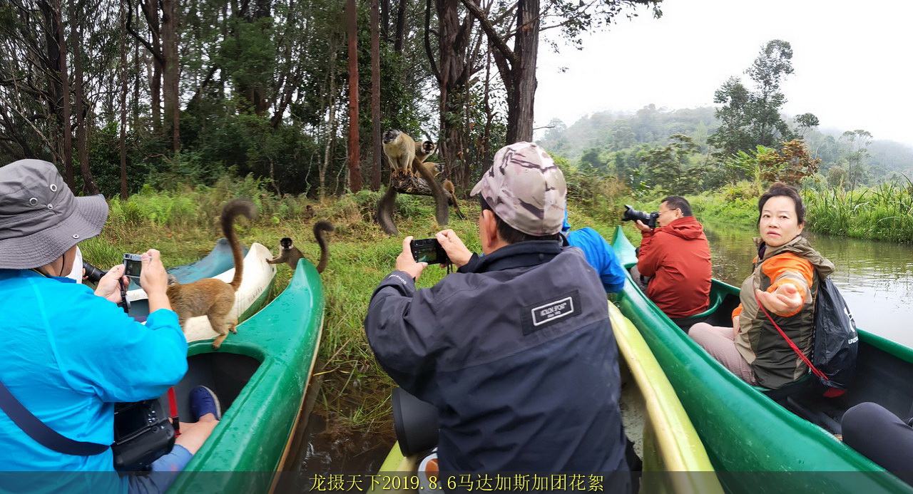 2019.8.6馬達(dá)加斯加團(tuán)花絮