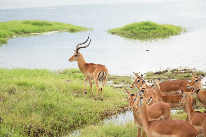 220334e6ykoc6m1bc41sf9