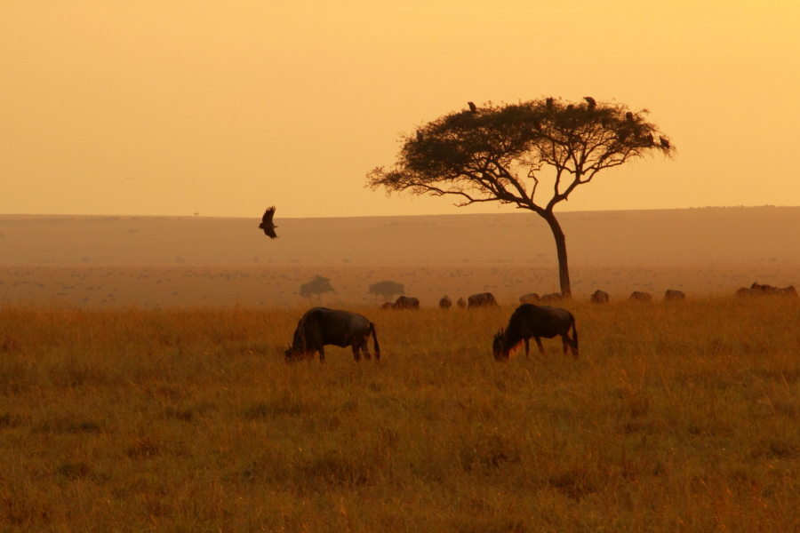 130313t0mwxzl5nte4e58q