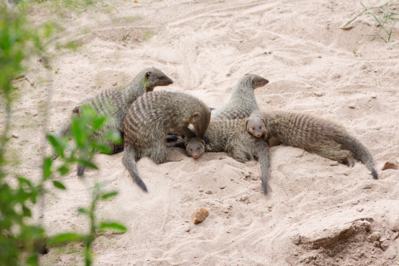 211547arfpijr59cwjft8a