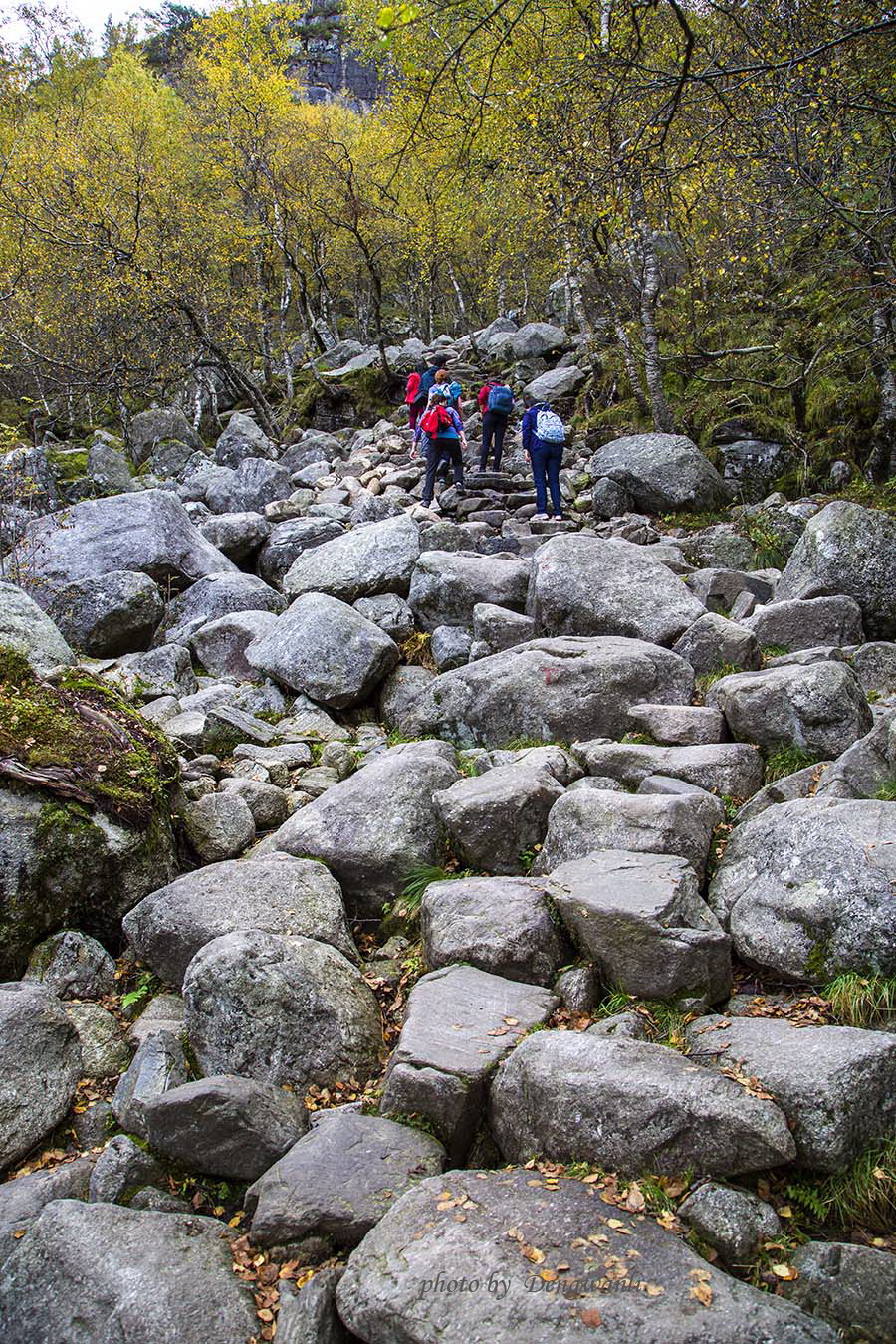 115352eianhyi4i6ptsdns