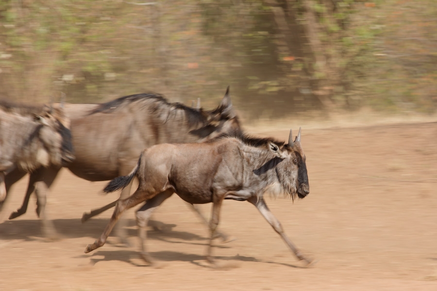 1950544syasa4co554gw45