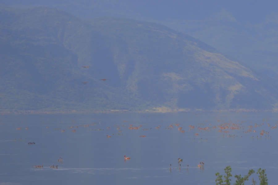 2033228lcwuuv7vwgiuigu