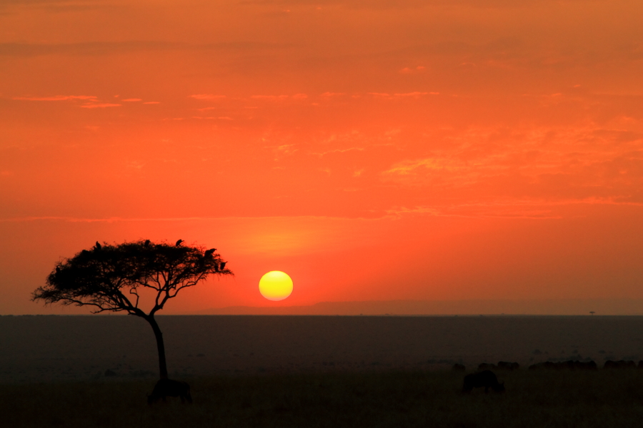 130319wxa3c7yecqyd7dwj