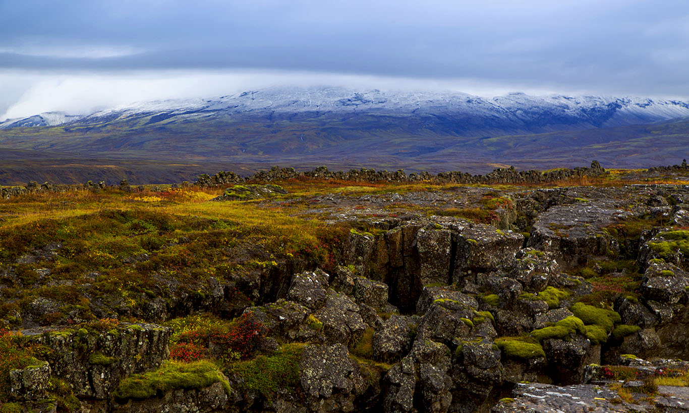 153458opr0injc2puedmi0