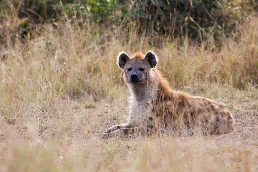 2145533cy7z17spfd912wa