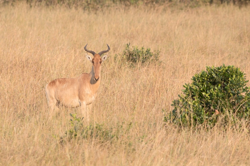 220439f1epiiemeex3m5z9