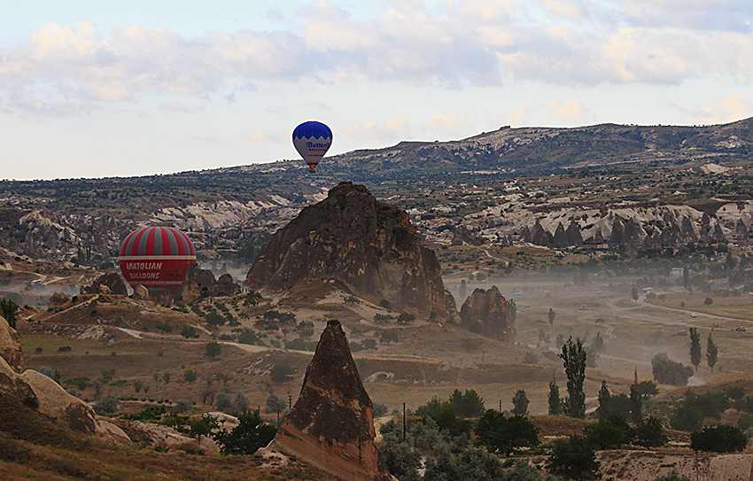 193821hfgbf66nb2bnzoii