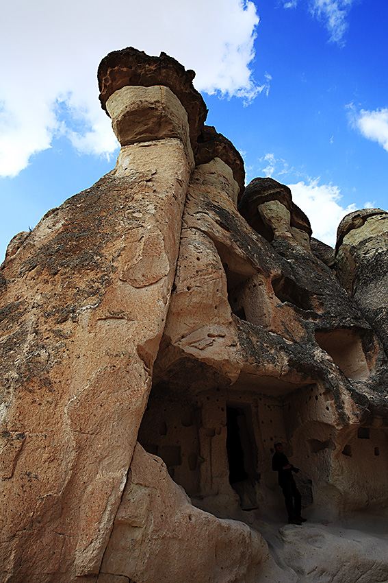 195933m1ftws8j8dfj90g7