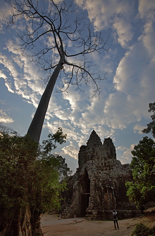 151326yxablfklqagqaava