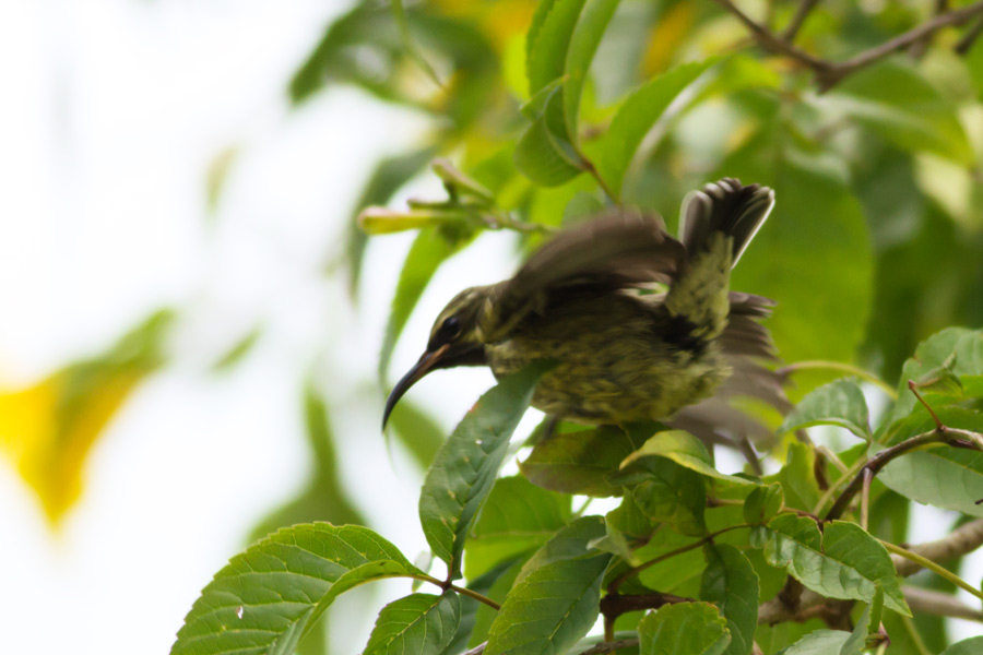 224954pdszj6h6g4fqi62j