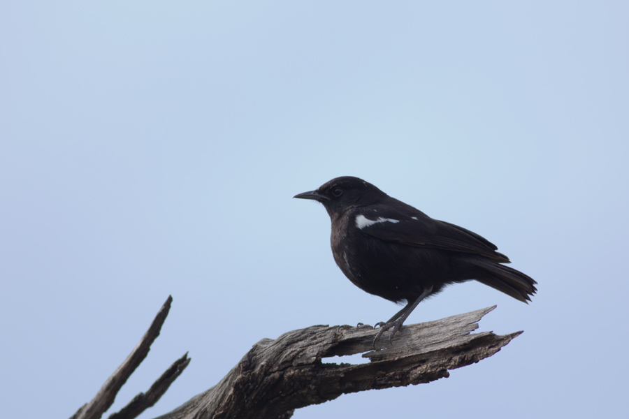 194029jefz8xfuhxekxxcs