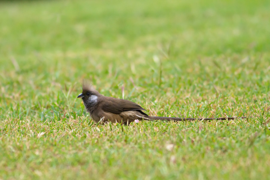 234205o4y0s4rfndnascnq