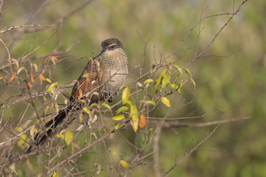 210807qh494v59z9c90twv