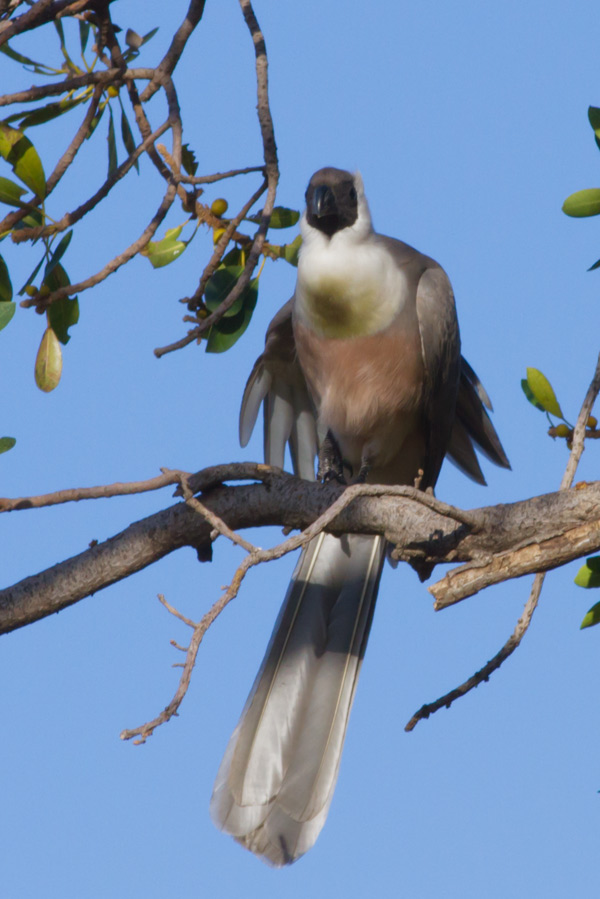 215702etbjjavh2bxjjkxi