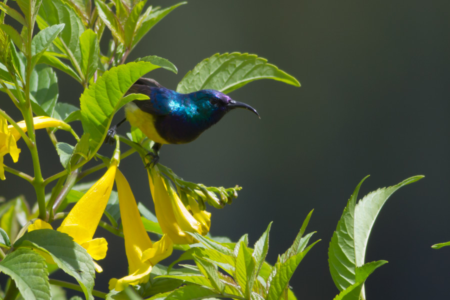 224859r5a5uru3oknqzkiw