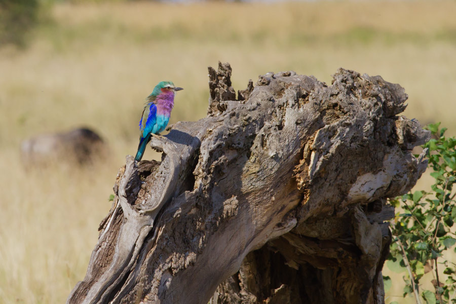 013638klnpkik7klnphklu