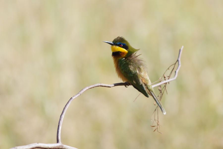 013843oow6whzhhuth9wsh