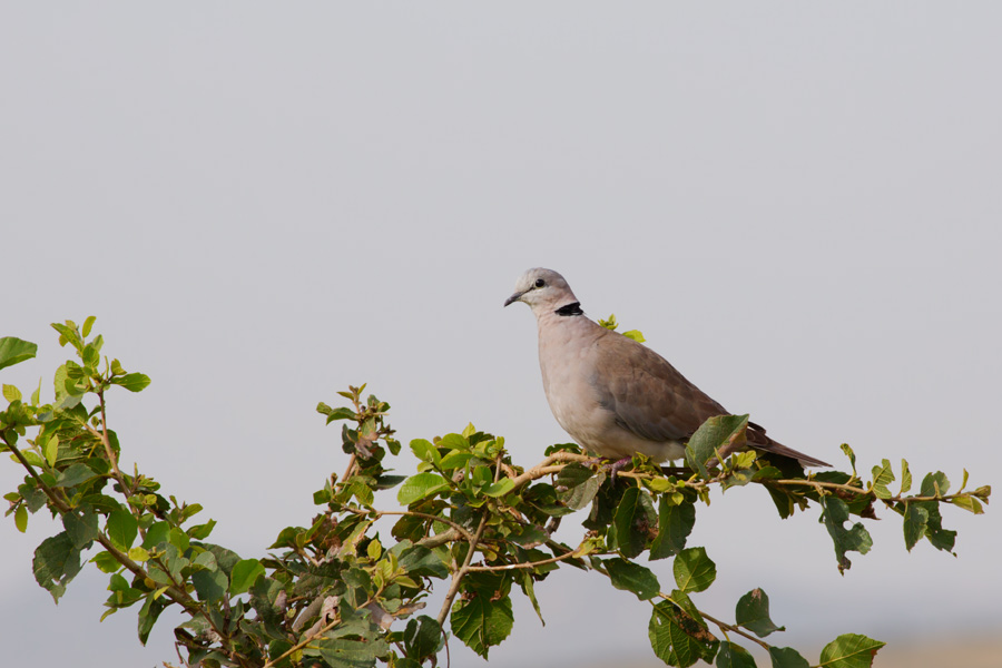 231719xf7za7w33idgii7u