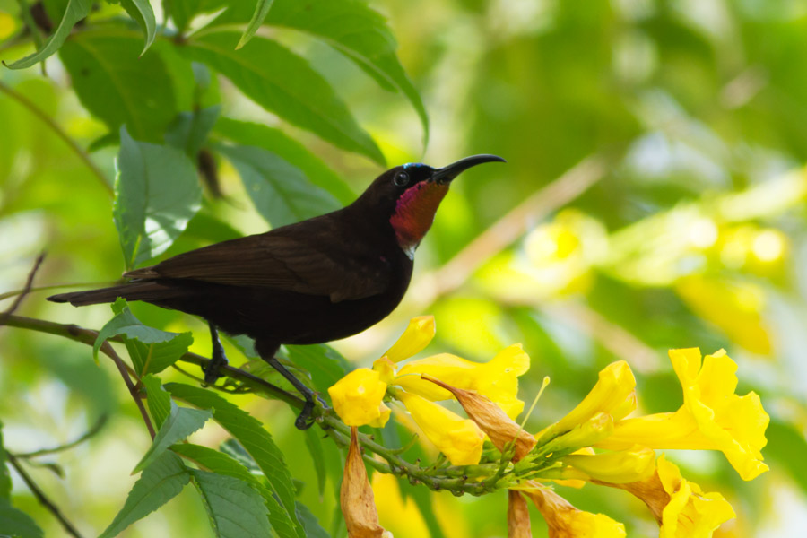 234726l7jwcpzsr474oee8