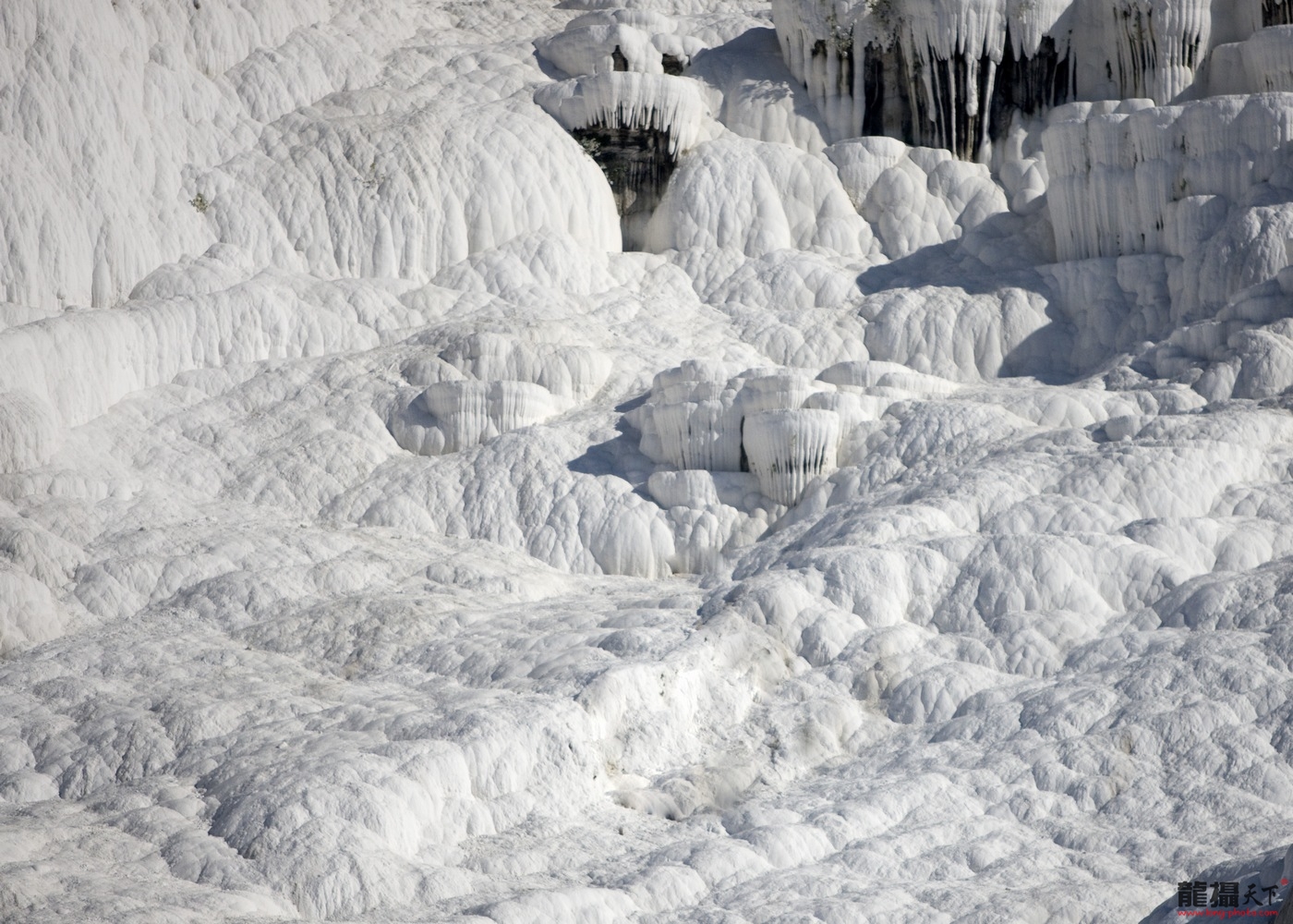 1110082102df226c9d66f54cc7 1110082102df226c9d66f54cc7