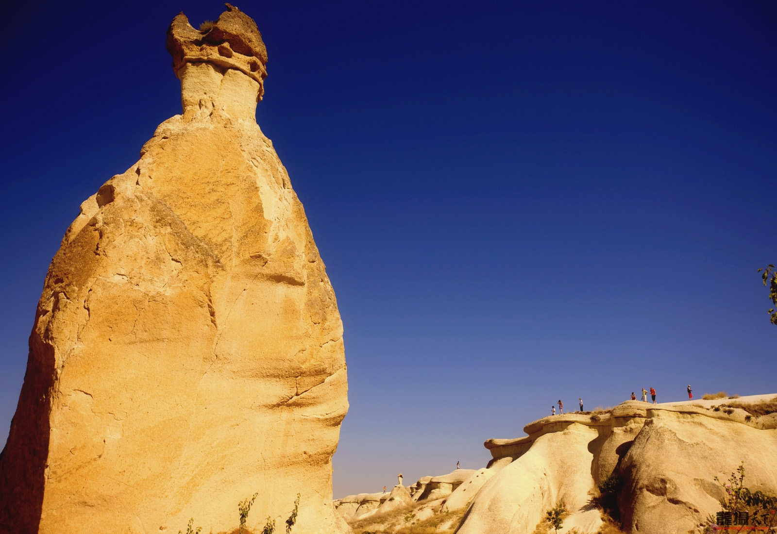 11091122390de43ecaed67fe81 11091122390de43ecaed67fe81