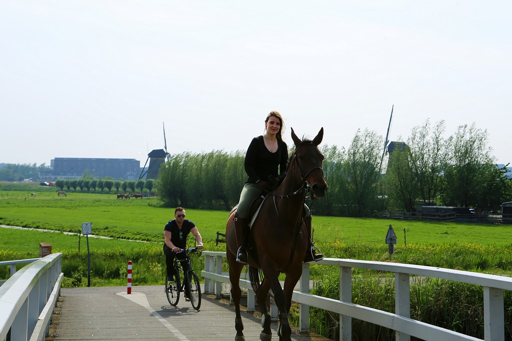 100913t93ssff37yzs5bxb