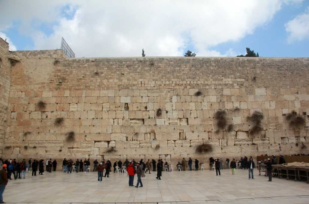 151628d27335207vxy54ss