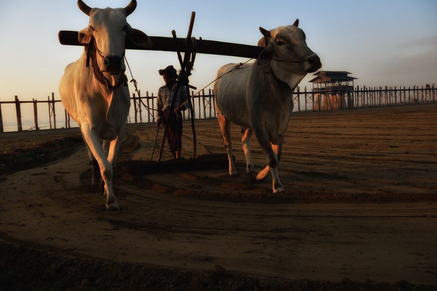 211917i9hb1hbobiimjqbb