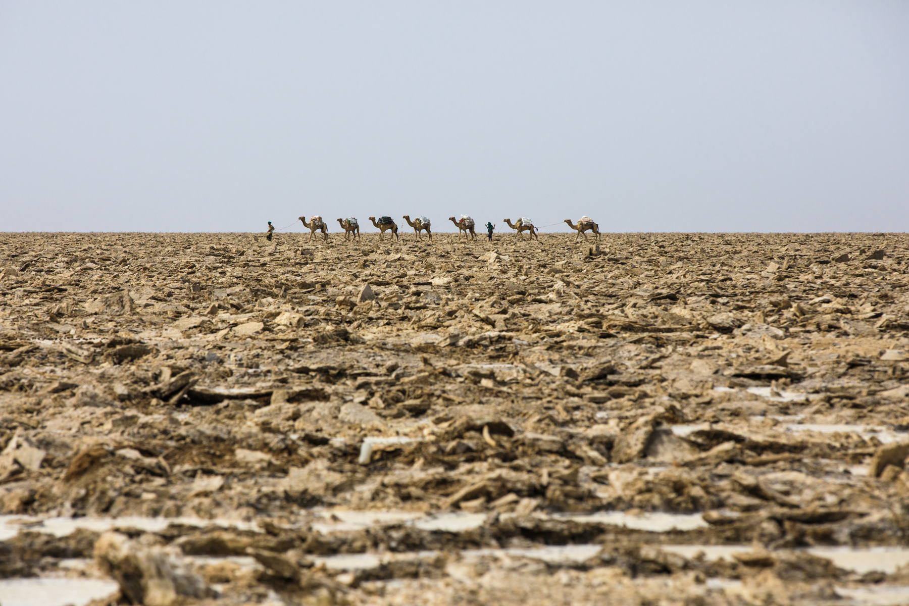 121358apgygs7u8fwskg95 121358apgygs7u8fwskg95