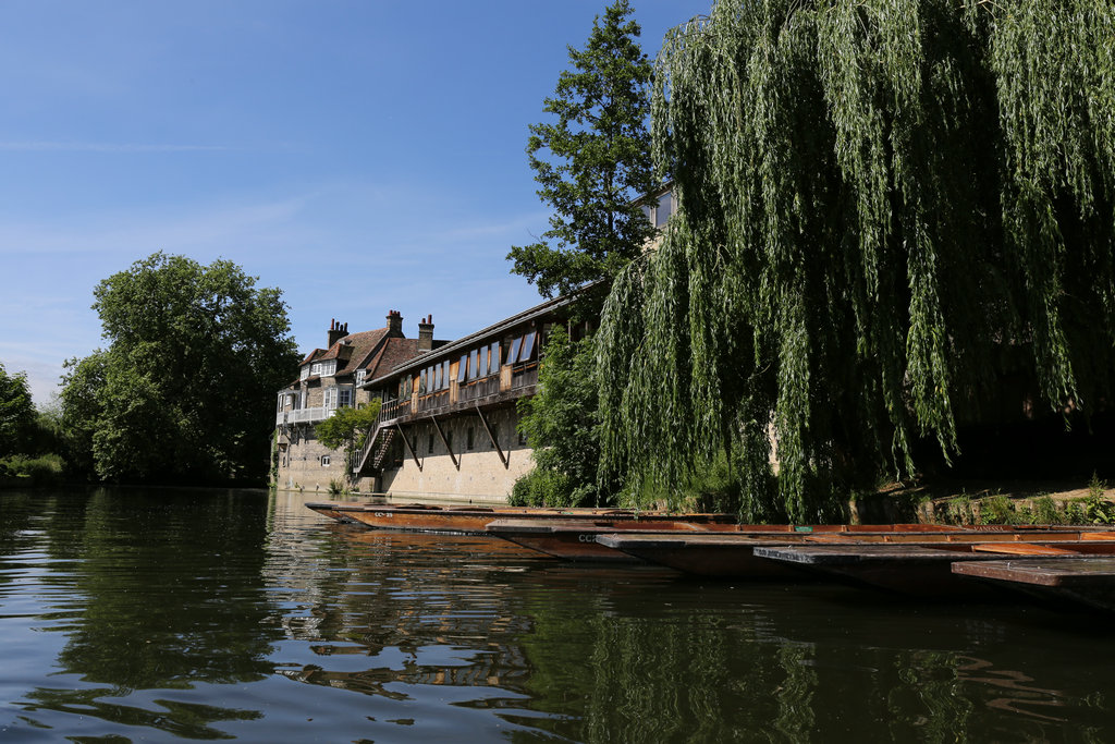 174425borovj8tyk9jjoj9 174425borovj8tyk9jjoj9