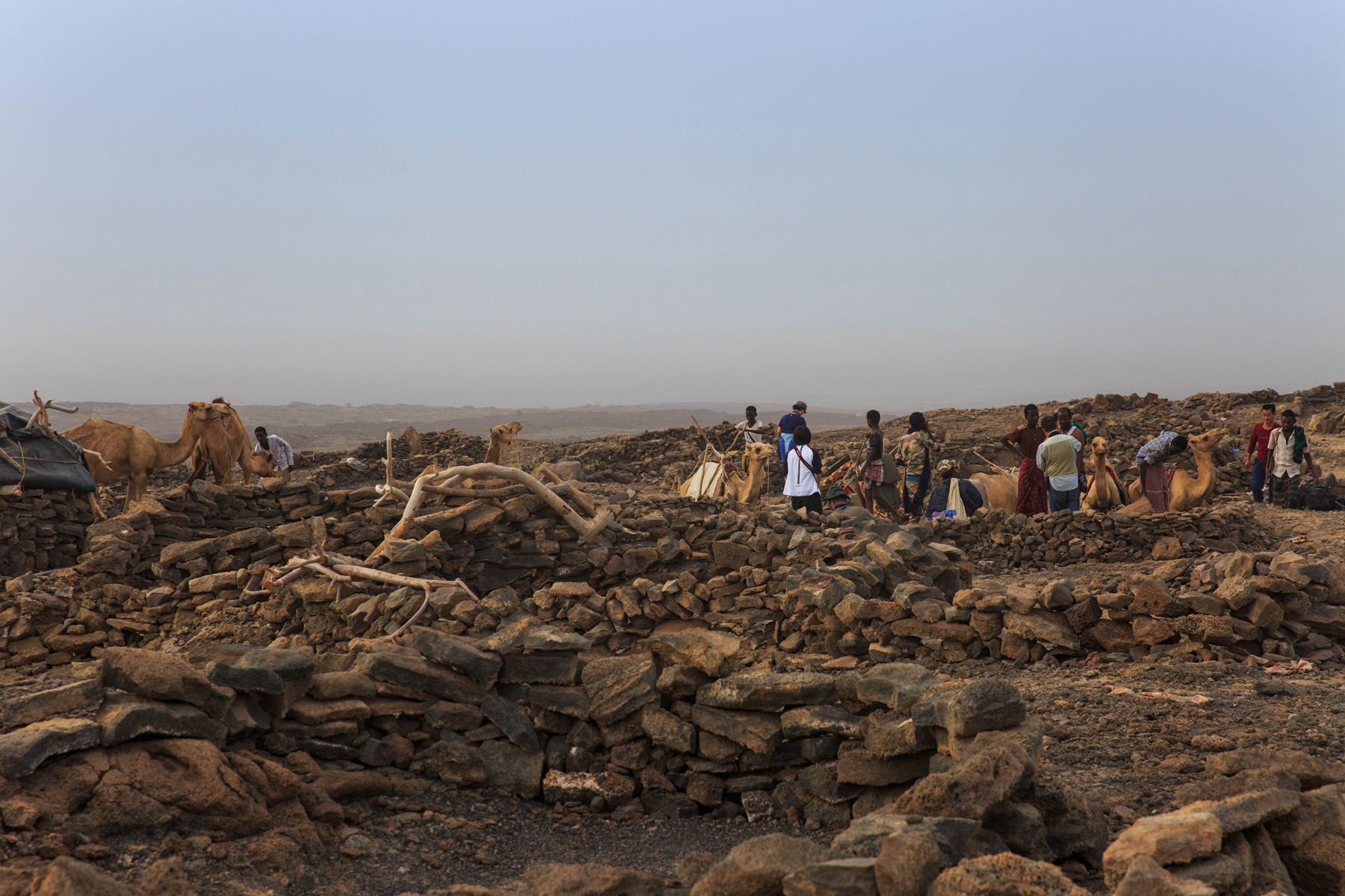 090239np1z8pgmg1ytplue 090239np1z8pgmg1ytplue