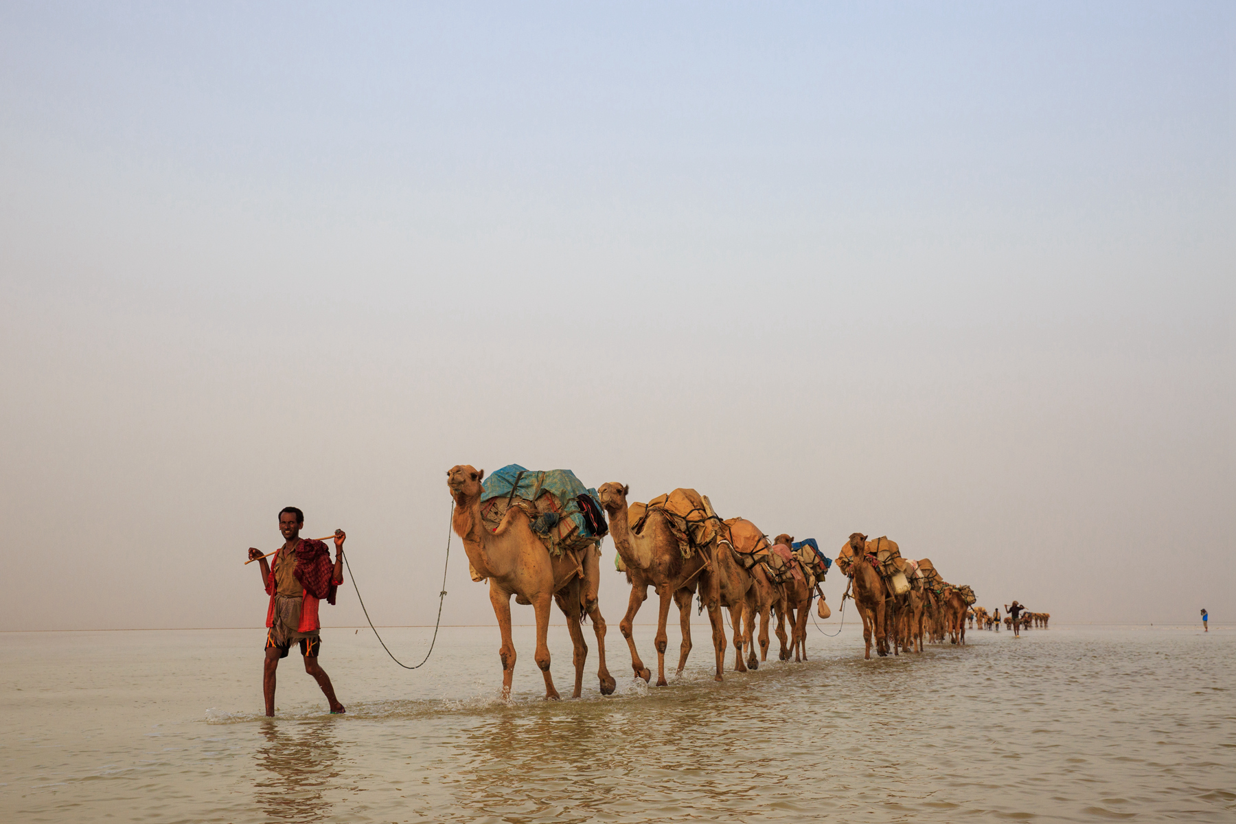 091743do8778u8xu6l4yuf 091743do8778u8xu6l4yuf