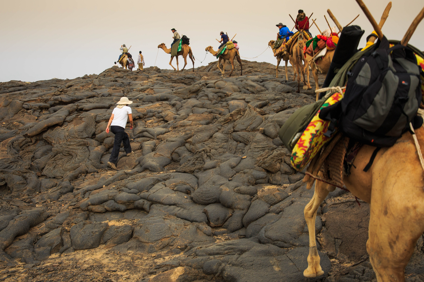 095246x4ks9660mzkz656a 095246x4ks9660mzkz656a