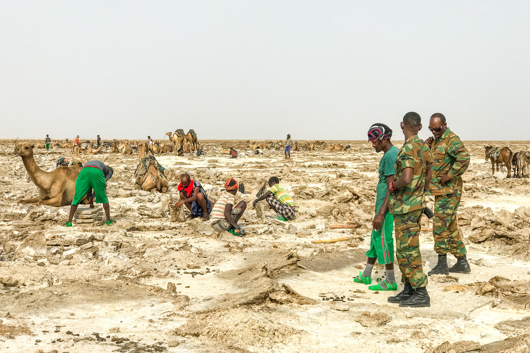 083648u1s66obgvzh3hhvm 083648u1s66obgvzh3hhvm