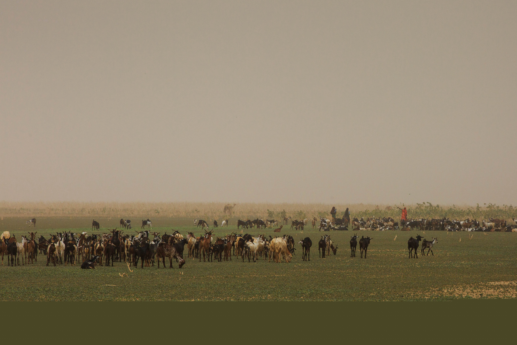 160642ysgmxn6s47nzm455 160642ysgmxn6s47nzm455