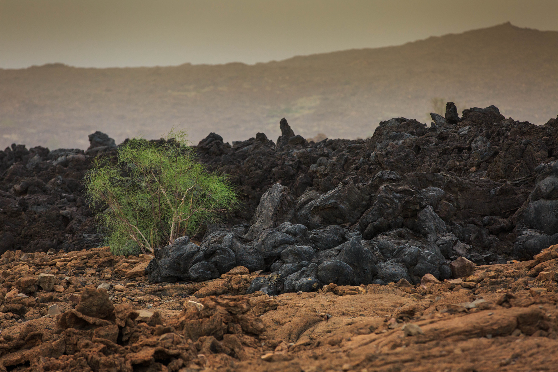 100040o88vdb268dnl8qr3 100040o88vdb268dnl8qr3