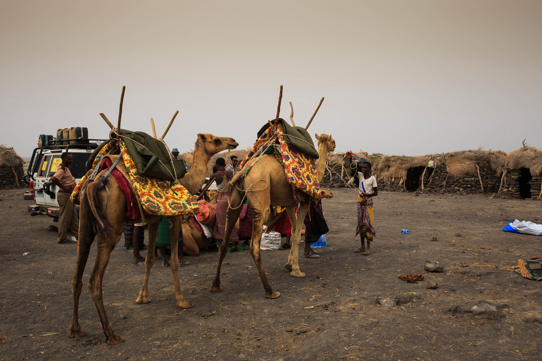 170253f6ctk6ket0lk4zfl 170253f6ctk6ket0lk4zfl